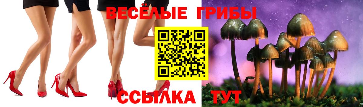 Рославль  Псилоцибиновые грибы Psilocybine cubensis  Галлюциногенные грибы MAGIC MUSHROOMS  Вход с VPN 